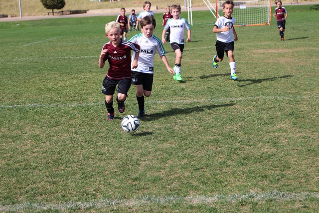 米兰已经为 米兰已经为