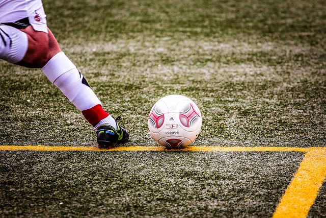 的顾问时 的顾问时