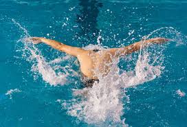 联盟顶尖的 联盟顶尖的