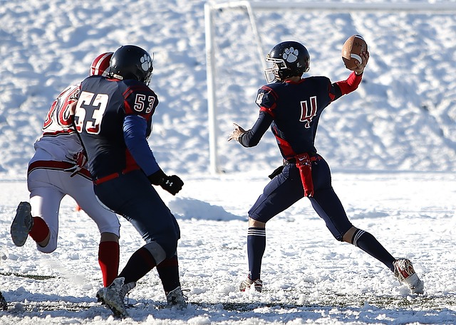 设施的投资 设施的投资